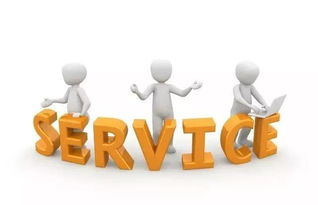 信息咨詢服務業質量部為何質量問題頻發 深層原因與改進路徑