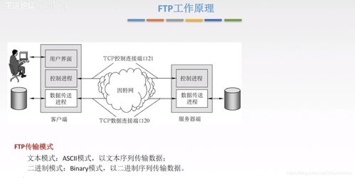 計算機系統(tǒng)服務中的6.3文件傳輸協(xié)議(FTP)